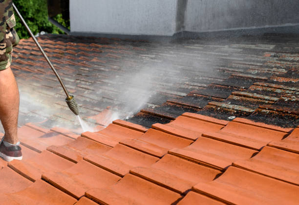 Best Pressure Washing Siding  in Bigfork, MT