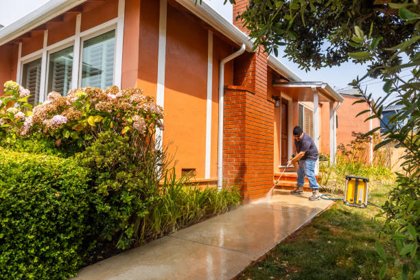 Best Affordable Pressure Washing  in Bigfork, MT